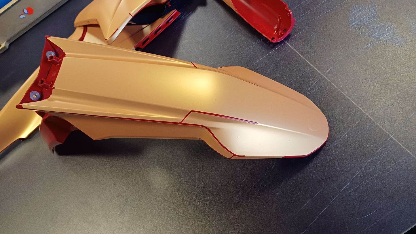 2025 / 2026 DUCATI DESMO450 MX TEMPLATE